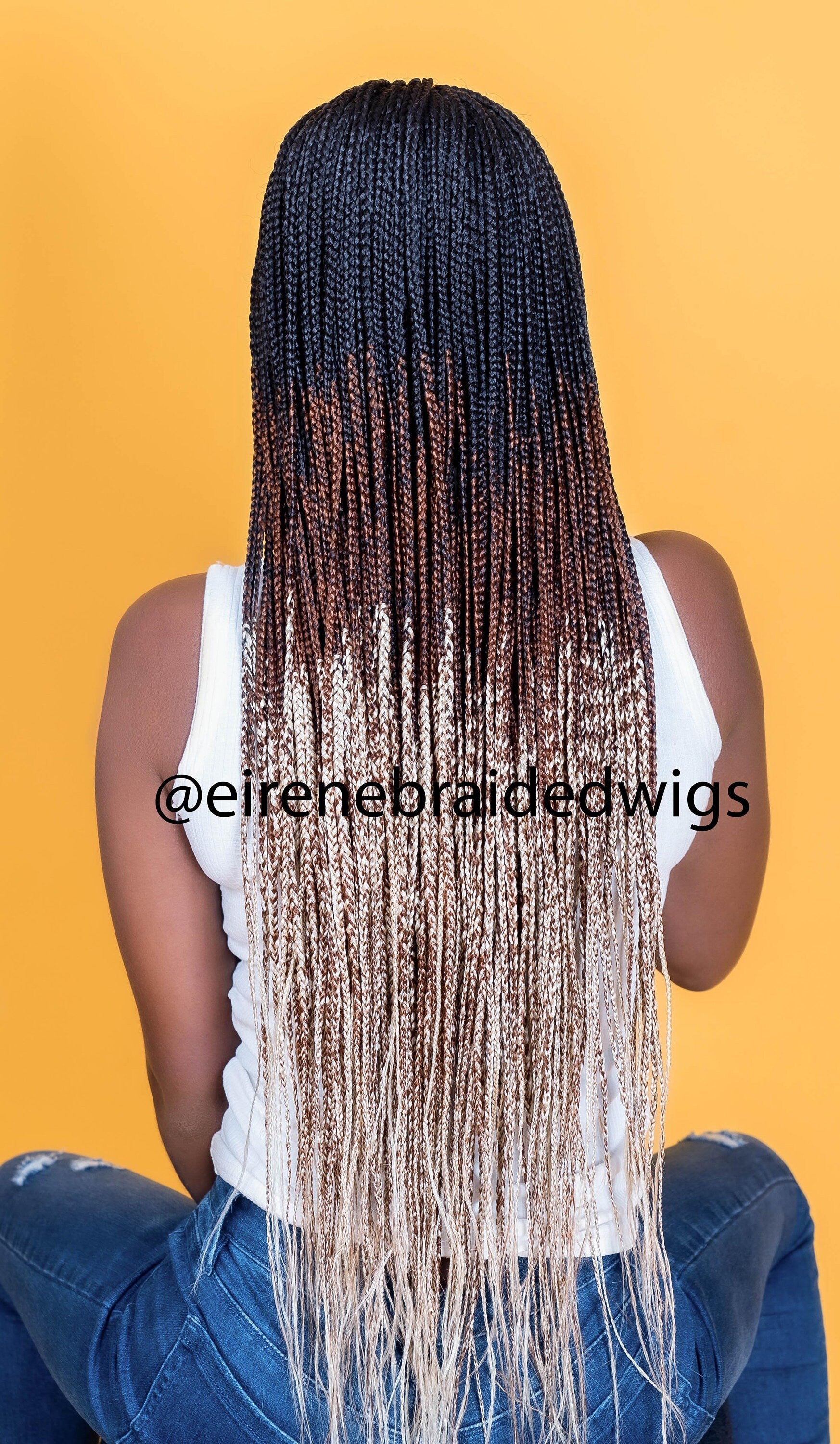 Braided Wigs for Black Women Fulani Braided Wig – Cornrow Style – Lace Frontal – Goddess Locs – product image 6